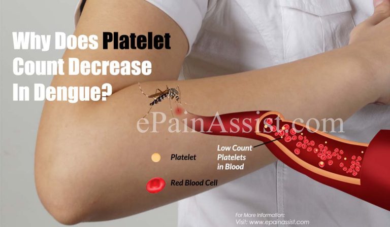 Why Does The Platelet Count Decrease in Dengue & How Can the Platelet Count be Increased in Dengue Fever?