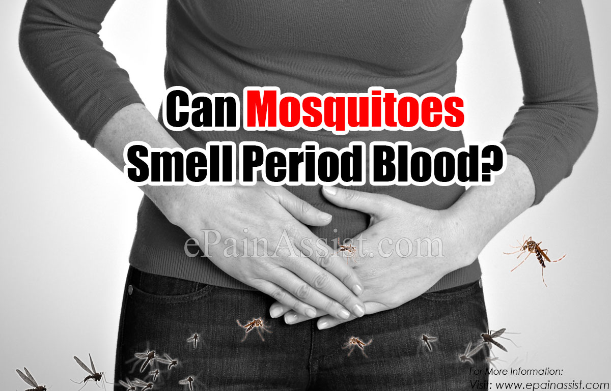 Can Mosquitoes Smell Period Blood?