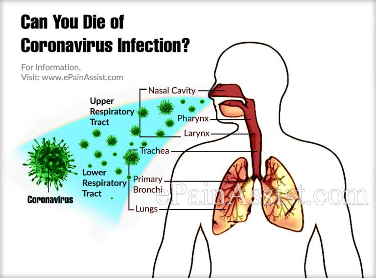 COVID-19, 2019-nCoV or Coronavirus Infection in Human : Symptoms, Treatment, Spread, Incubation Period, Prevention