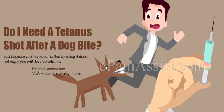 Do I Need A Tetanus Shot After A Dog Bite?