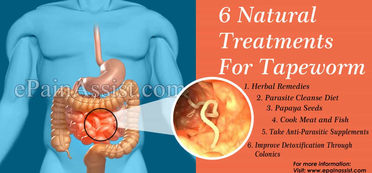 6 Natural Treatments For Tapeworm