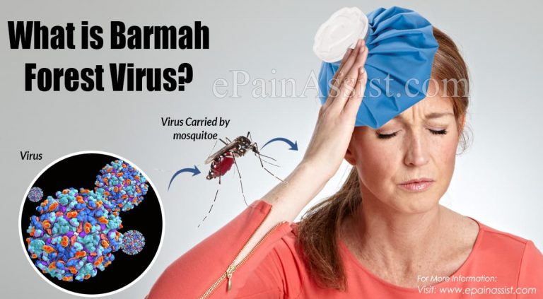 What is Barmah Forest Virus: Spread, Symptoms, Treatment, Prevention, Diagnosis