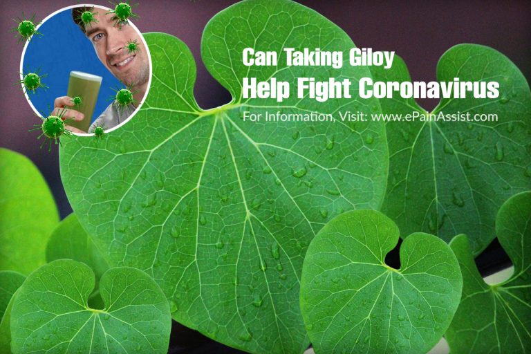 Can Taking Giloy Help Fight Coronavirus?|7 Amazing Benefits of Giloy