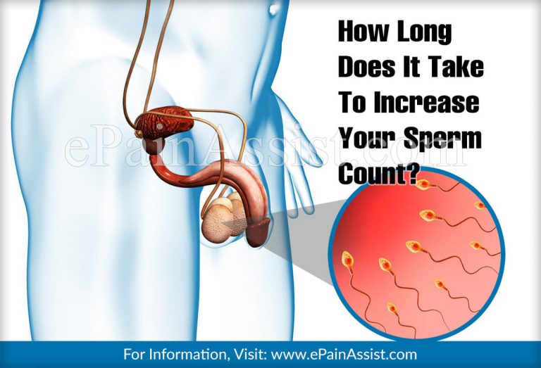 How Long Does It Take To Increase Your Sperm Count?