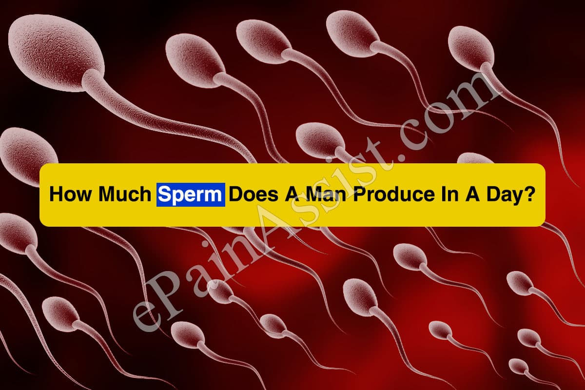 How Much Sperm Does A Man Produce In A Day?