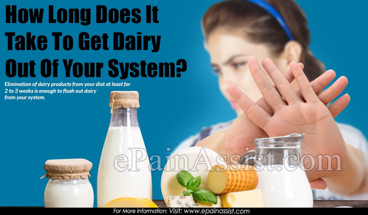 How Long Does It Take To Get Dairy Out Of Your System?