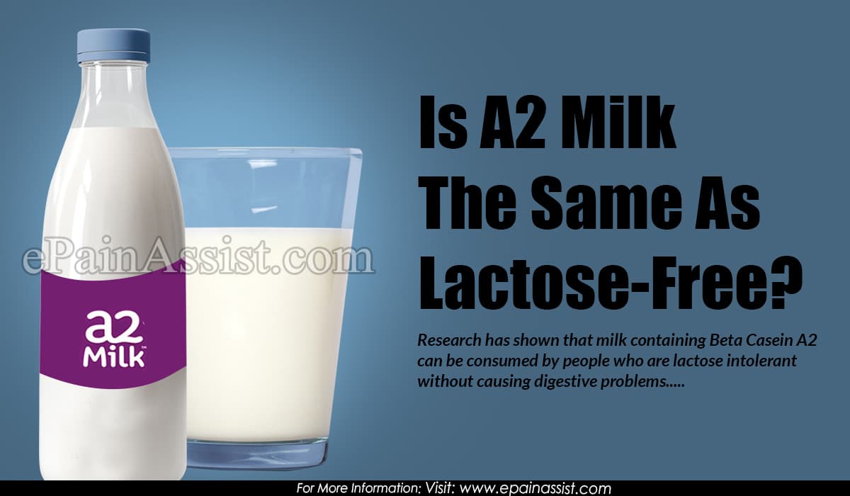 Is A2 Milk The Same As Lactose-Free?