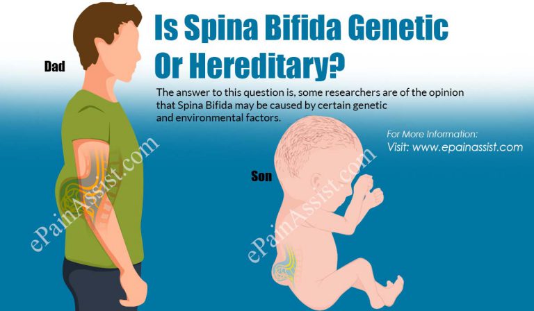 Is Spina Bifida Genetic or Hereditary?