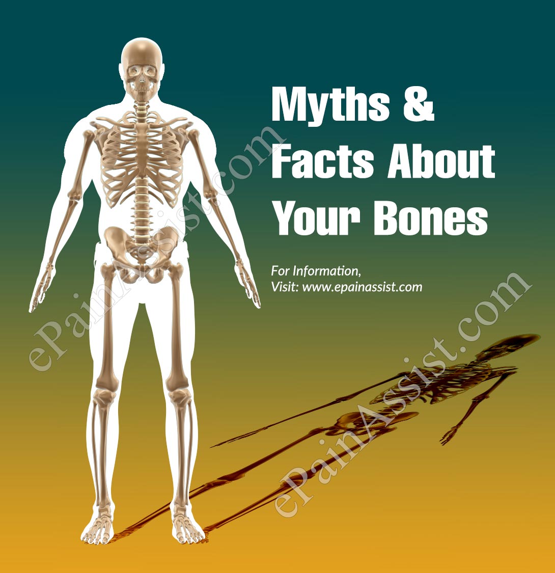 Myths & Facts About Your Bones