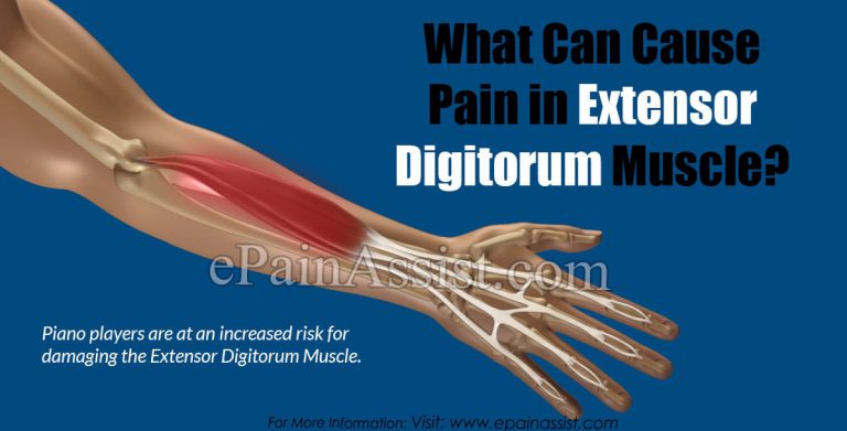 Extensor Digitorum Muscle Pain: Signs, Symptoms, Causes, Treatment, Risk Factors