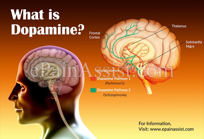 Dopamine meaning