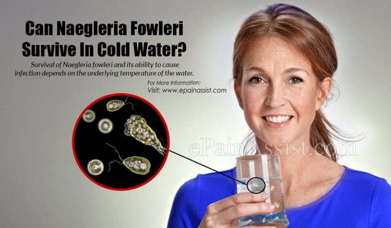 Can Naegleria Fowleri Survive In Cold Water?