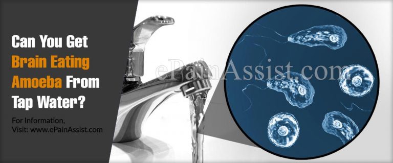 Can You Get Brain Eating Amoeba From Tap Water?