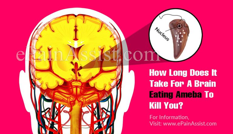 How Long Does It Take For A Brain Eating Ameba To Kill You?
