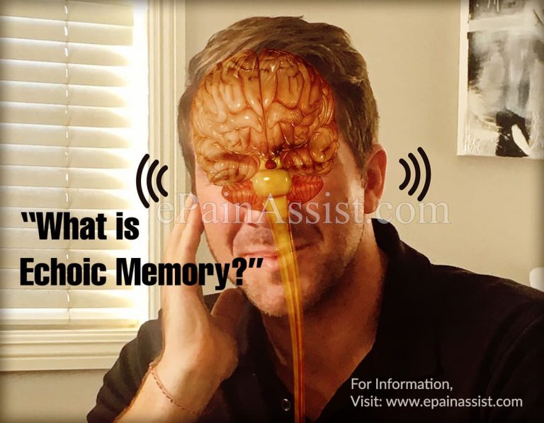 What is Echoic Memory & How Does Echoic Memory Work?