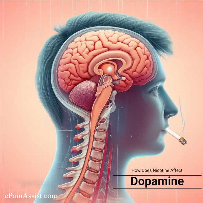 What Neurotransmitters Does Nicotine Affect & How Does Nicotine Affect Dopamine?