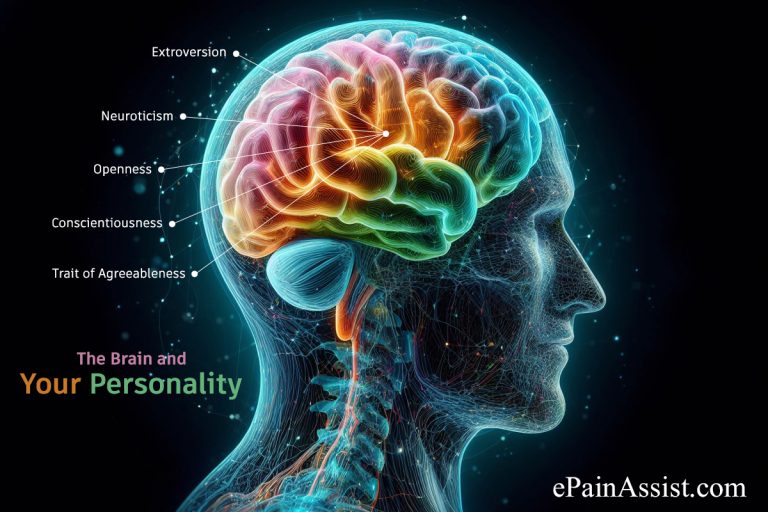 Is It Possible To Change Your Personality With Brain Plasticity?