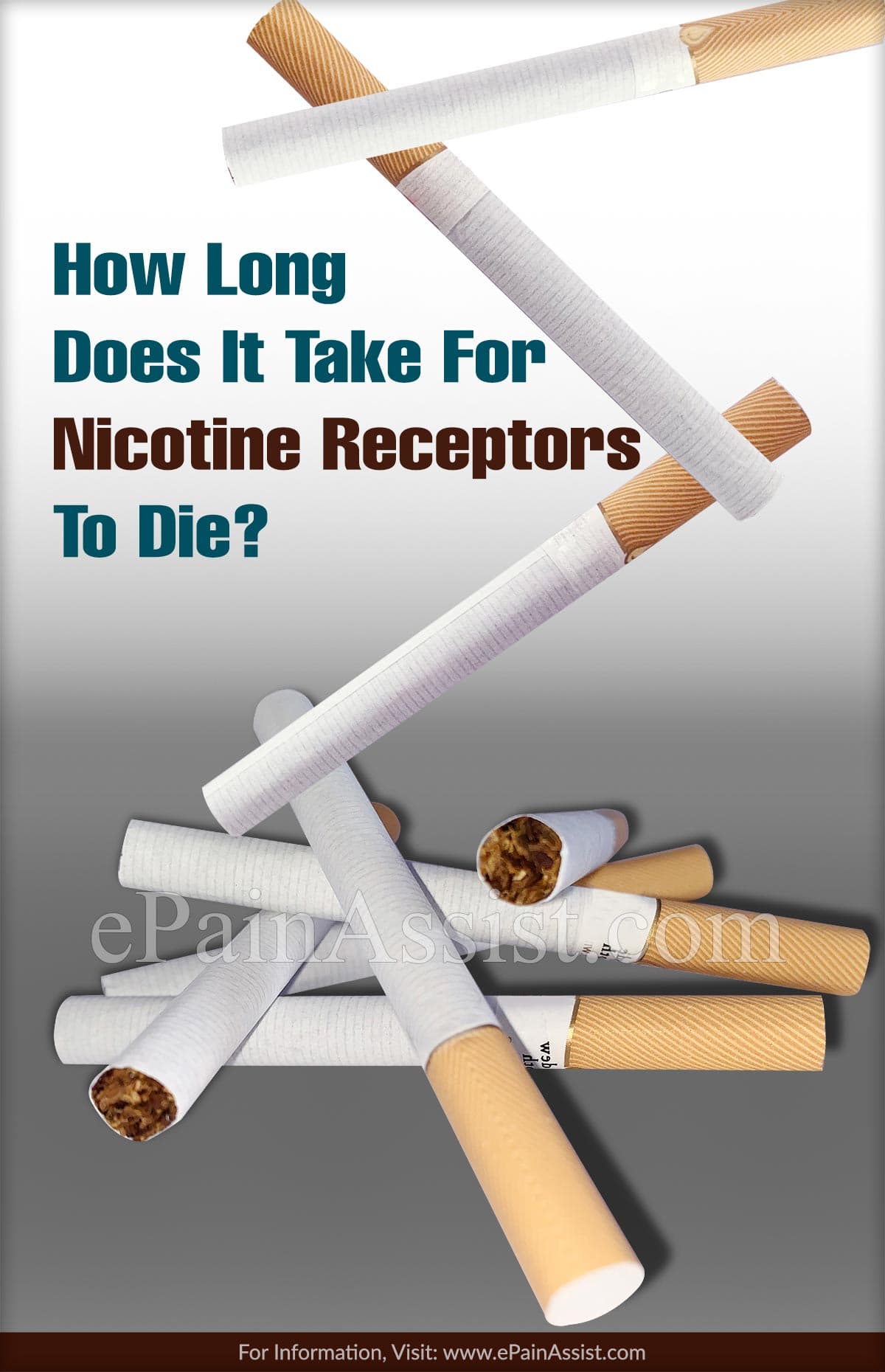 How Long Does It Take For Nicotine Receptors To Die?