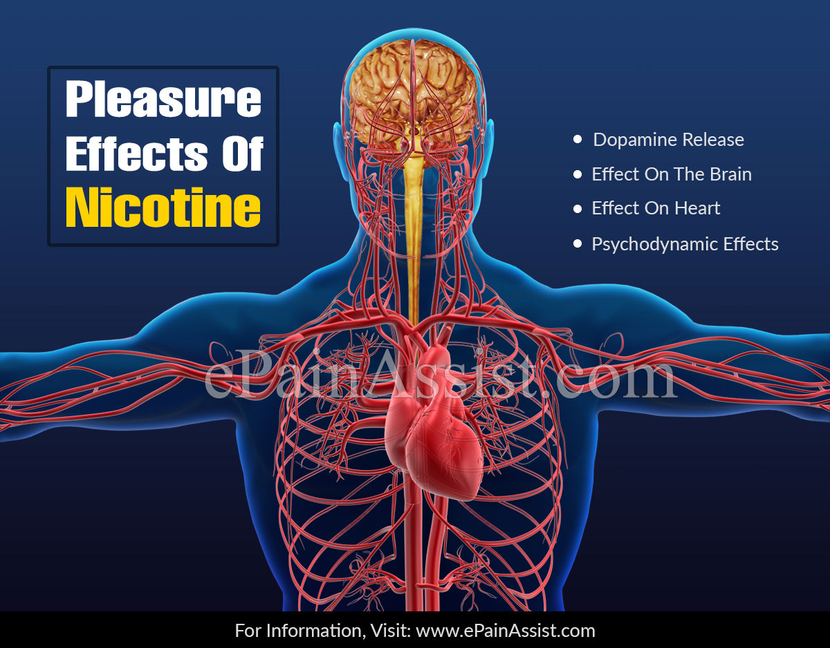 Pleasure Effects Of Nicotine