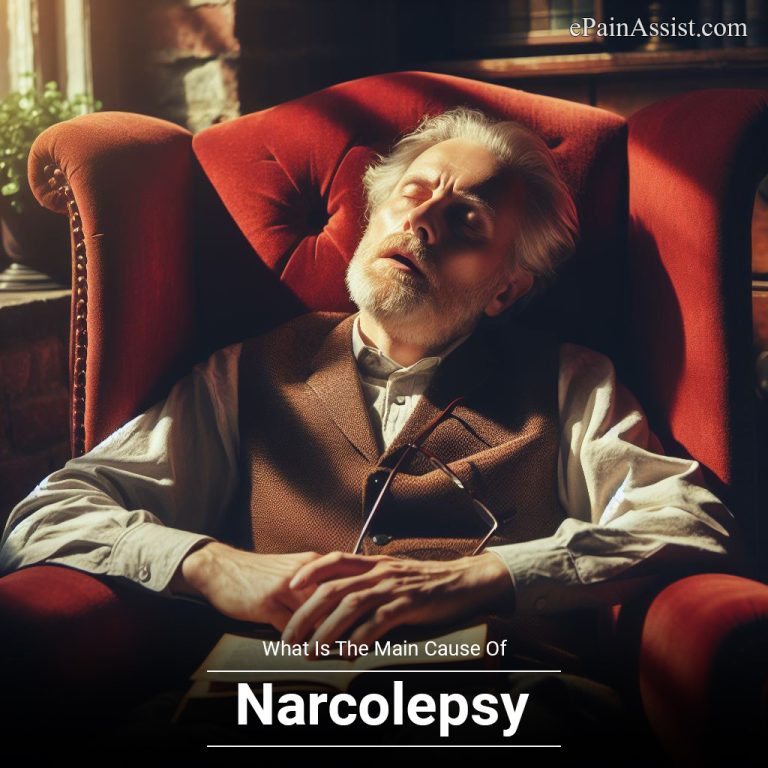 What Is The Main Cause Of Narcolepsy?