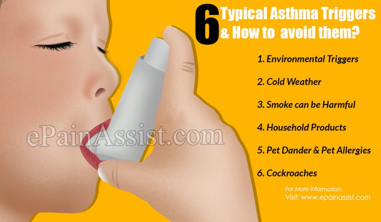 6 Typical Asthma Triggers & How to avoid them?