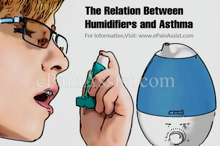 Humidifier vs. Dehumidifier: Which Is Better For Asthma?