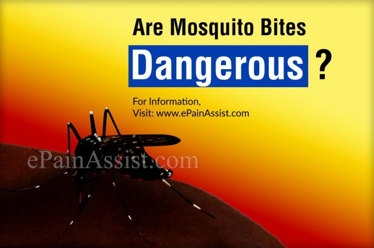 Are Mosquito Bites Dangerous?