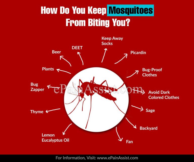 How Do You Keep Mosquitoes From Biting You?