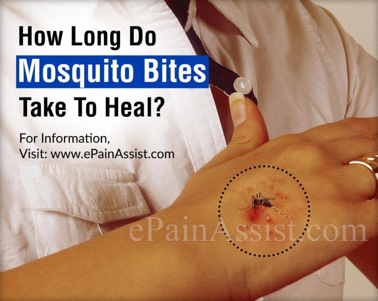 How Long Do Mosquito Bites Take To Heal?