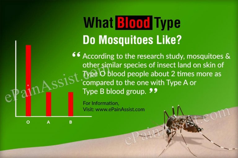What Blood Type Do Mosquitoes Like?