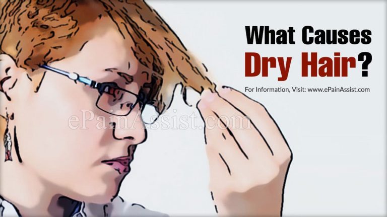 What Causes Dry Hair & Which are the Natural Moisturizers For Dry Hair?