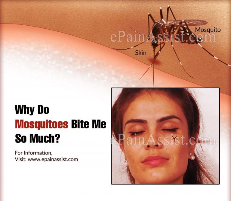 Why Do Mosquitoes Bite Me So Much?