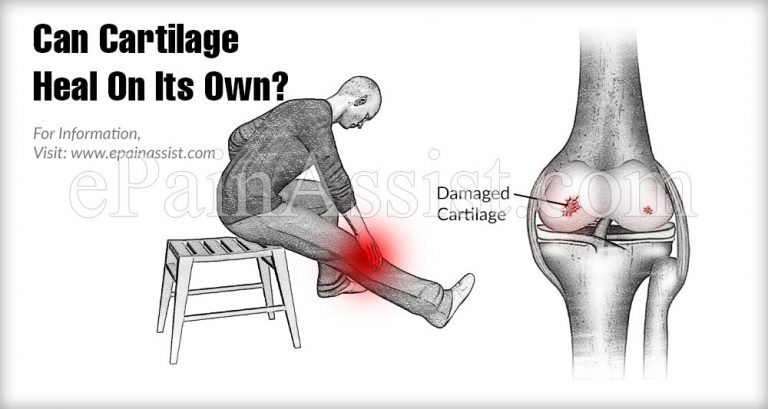 Can Cartilage Heal On Its Own?