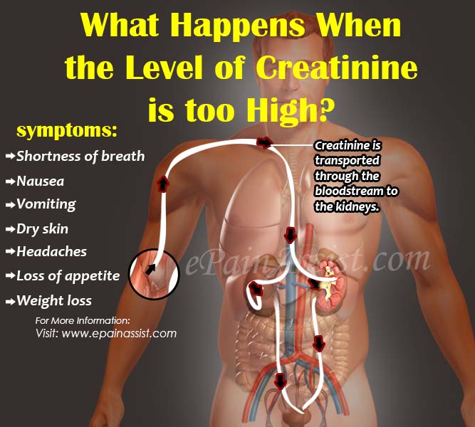 What Happens When The Level Of Creatinine Is Too High?