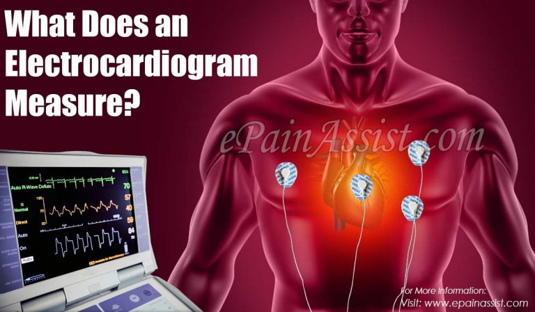 What Does an Electrocardiogram Measure?|Risks & Limitations of Electrocardiogram