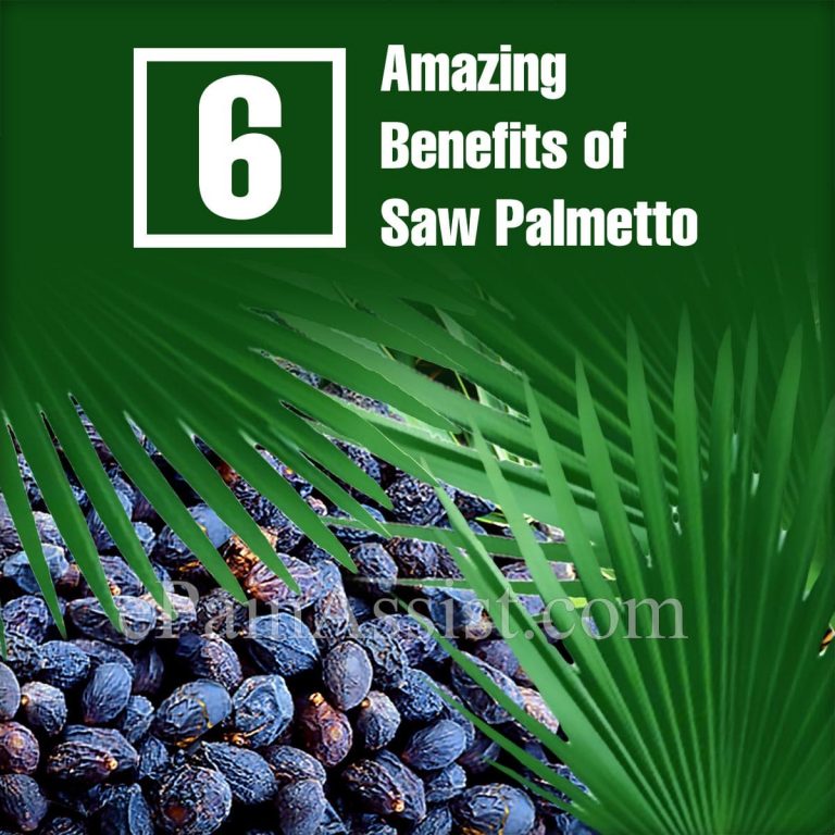 6 Amazing Benefits of Saw Palmetto