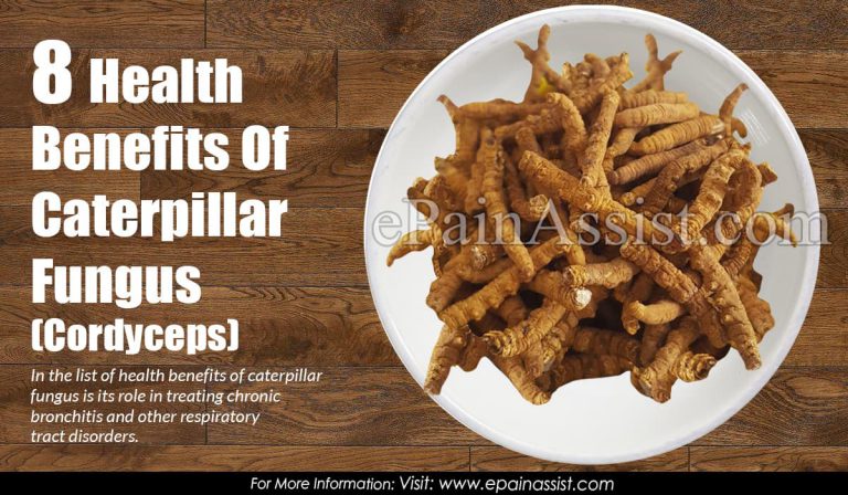 8 Health Benefits Of Caterpillar Fungus (Cordyceps)