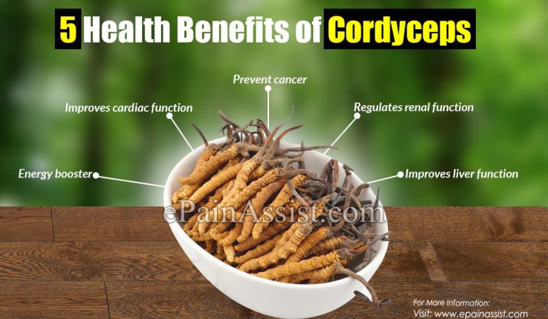 5 Health Benefits &  6 Side Effects Of Cordyceps