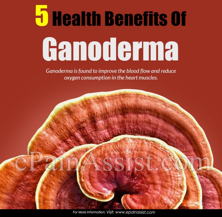 5 Health Benefits Of Ganoderma & Its Side Effects
