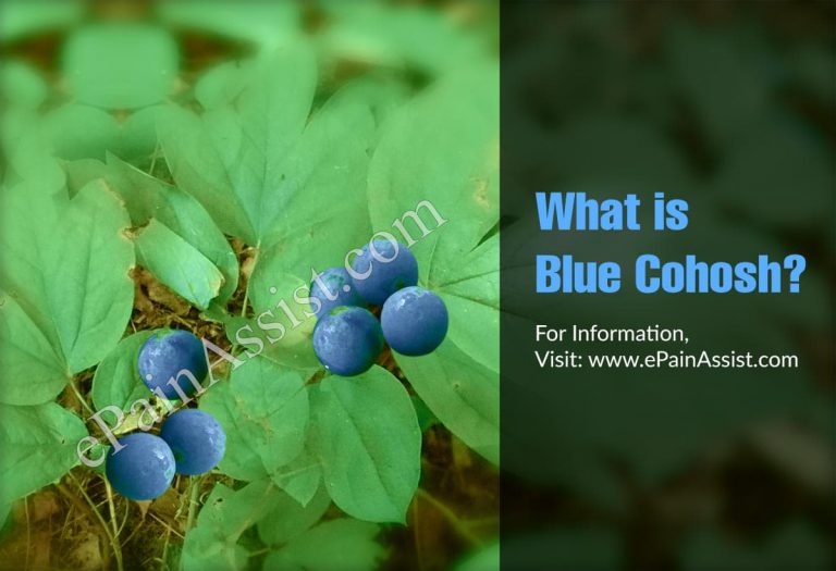 What is Blue Cohosh: Uses, Side Effects, Dosage, Precautions, Interactions