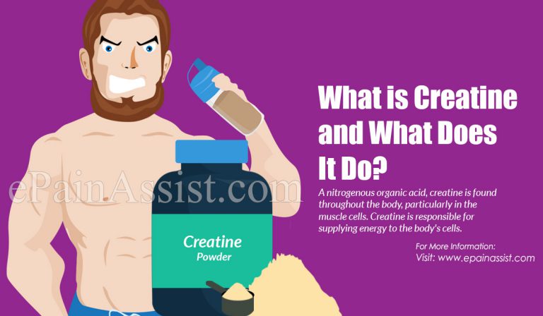 What is Creatine, What Does It Do, Know the Performance & Health Benefits of Creatine