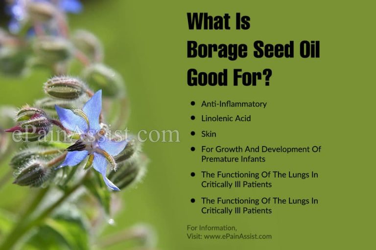 What is Borage Seed Oil Good For?