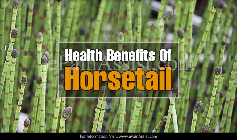 Uses of Horsetail & Its Health Benefits and Side Effects