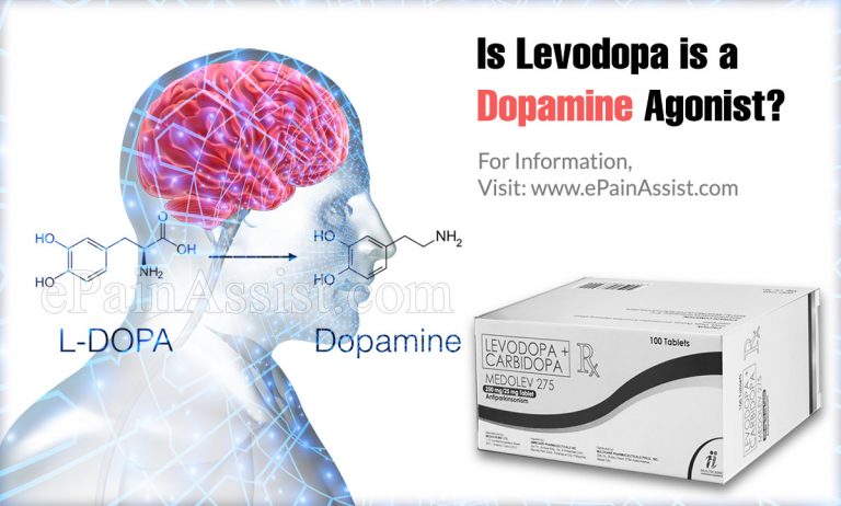 Is Levodopa is a Dopamine Agonist?