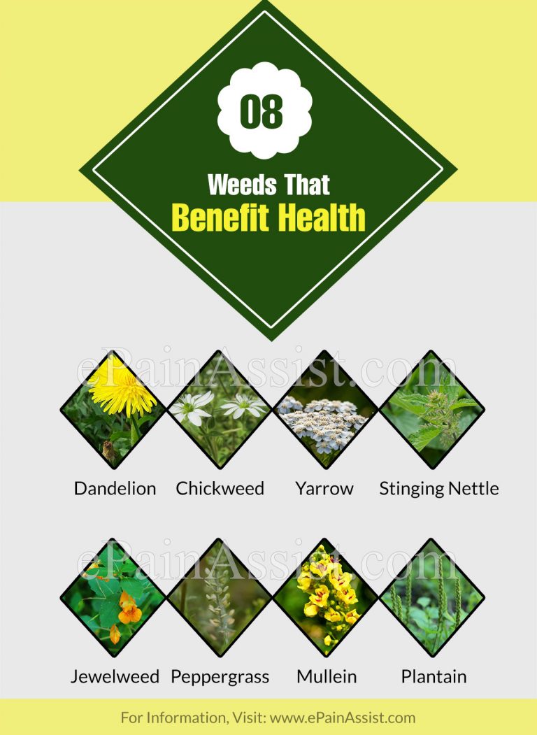 8 Weeds That Benefit Health