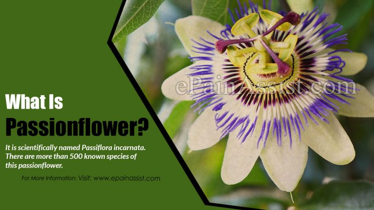 Passionflower And Its Calming Effects & Side Effects