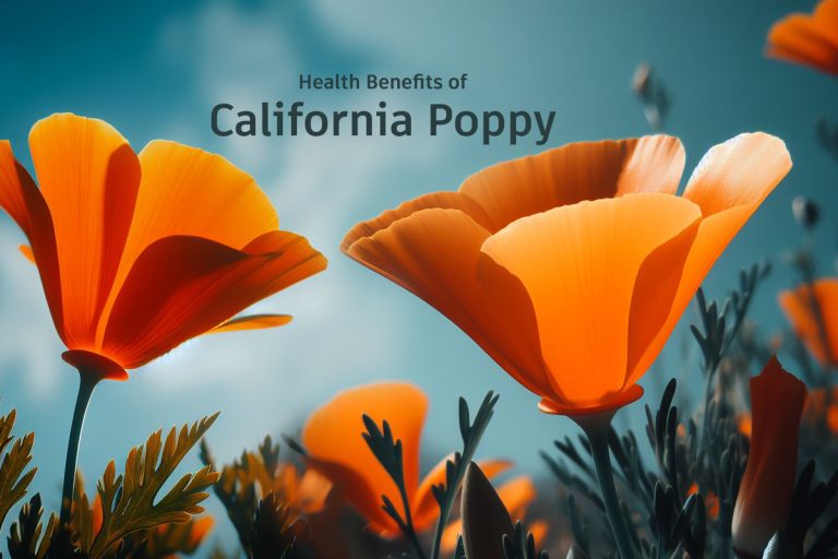 Health Benefits and Side Effects of California Poppy
