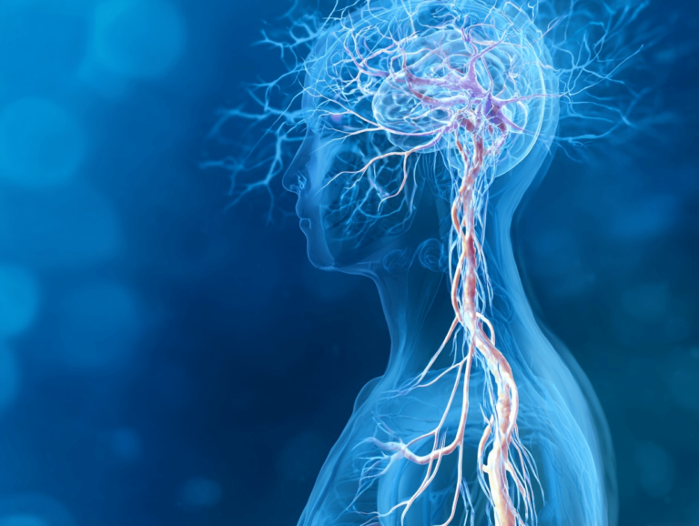 Why Tiny Inflammation Signals Can Shift Autonomic Function and Emotions