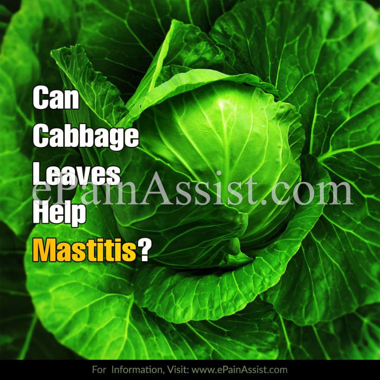 Can Cabbage Leaves Help Mastitis?