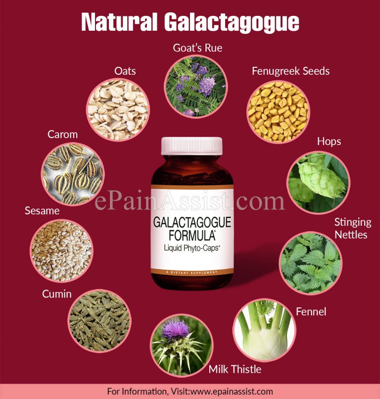 What is Galactagogue?|Synthetic Vs Natural Galactagogue|Natural Galactagogue & Its Uses